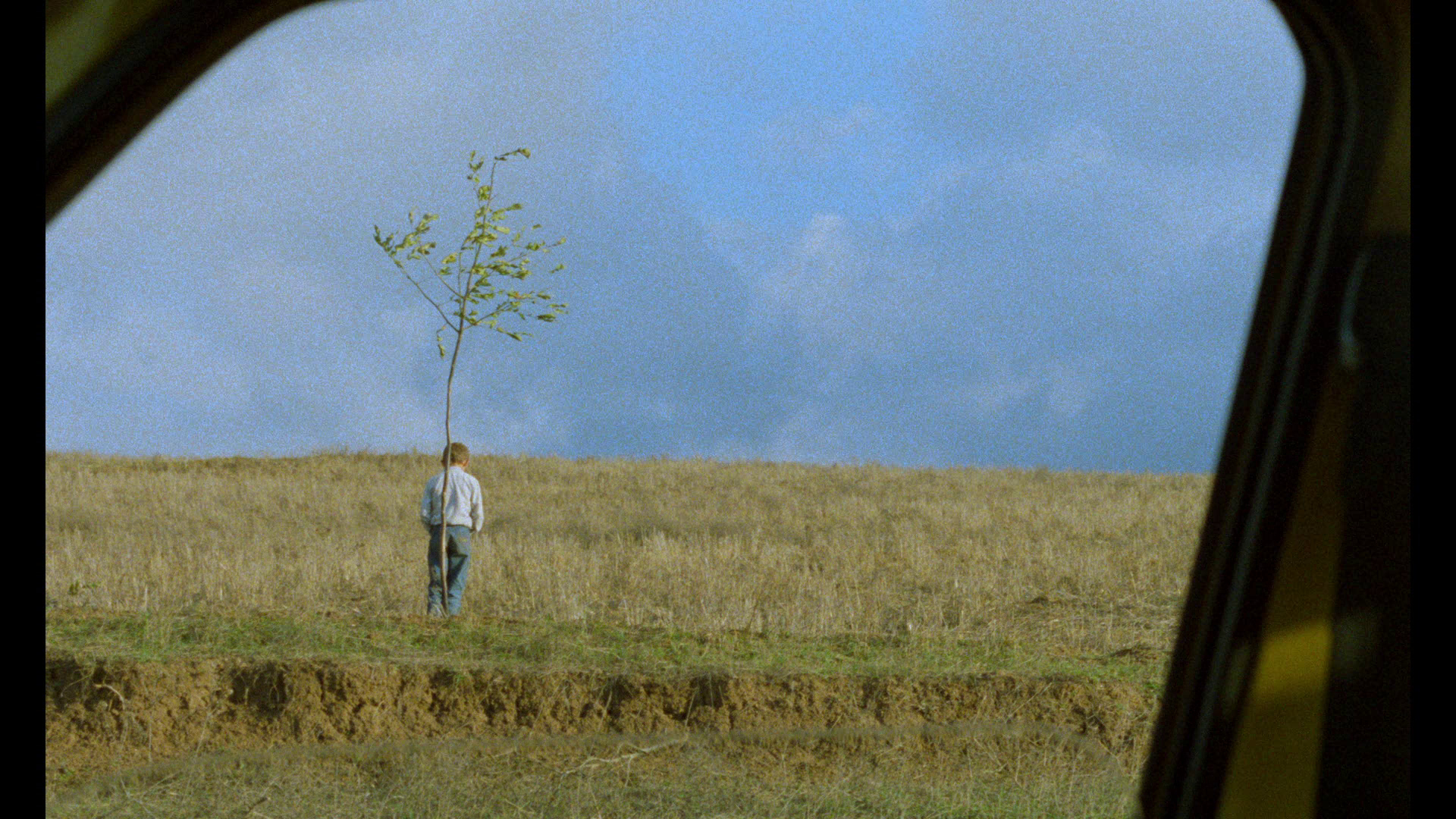 and life goes on blu ray farhad kheradmand