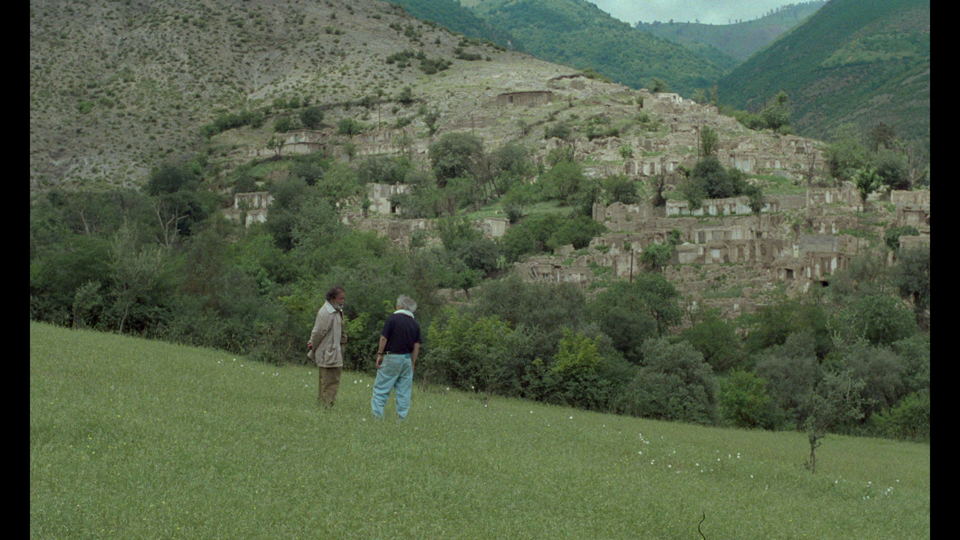 through the olive trees film