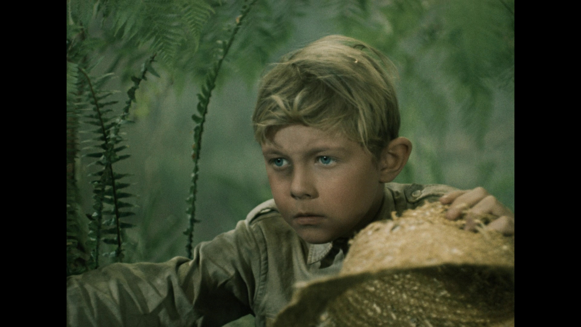 A Journey To The Beginning Of Time A Journey to the Beginning of Time Blu-ray - Karel Zeman