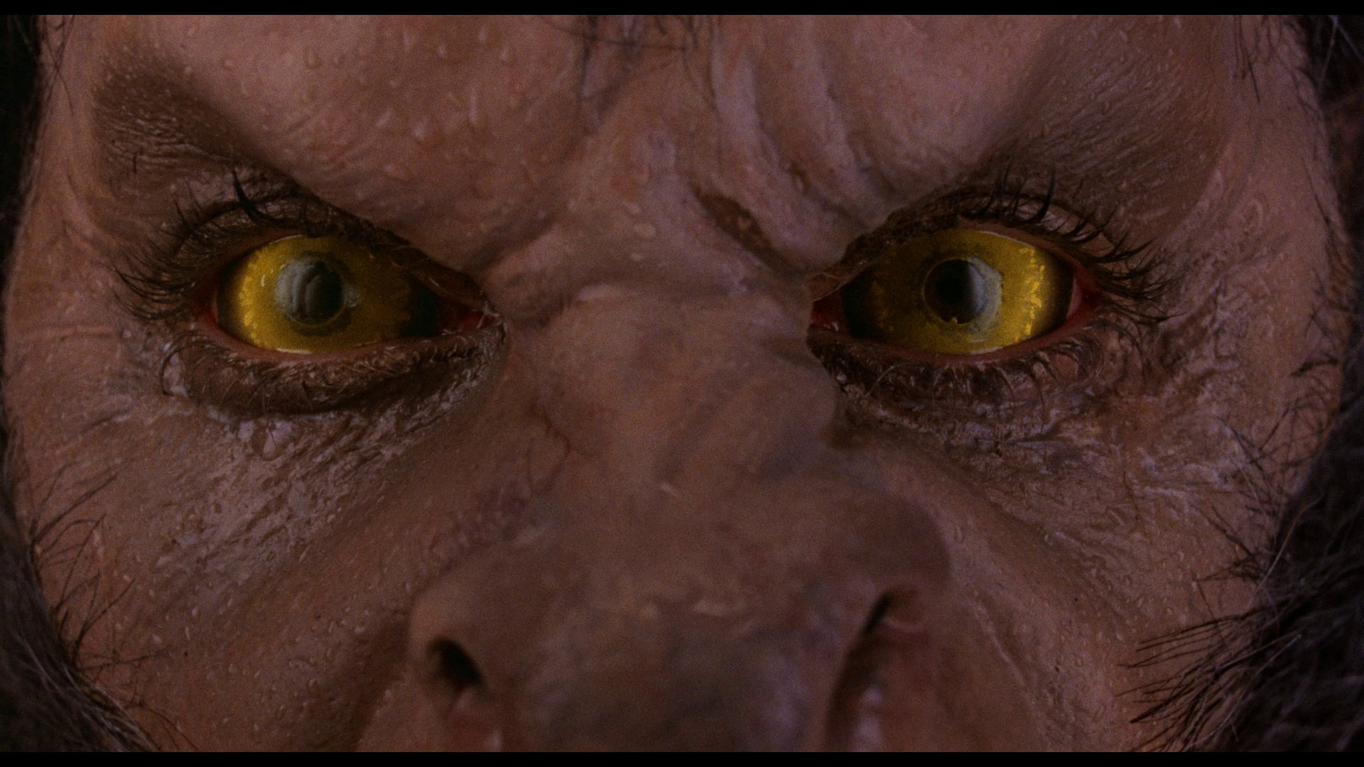 large_10_american_werewolf_london_blu-ray.jpg