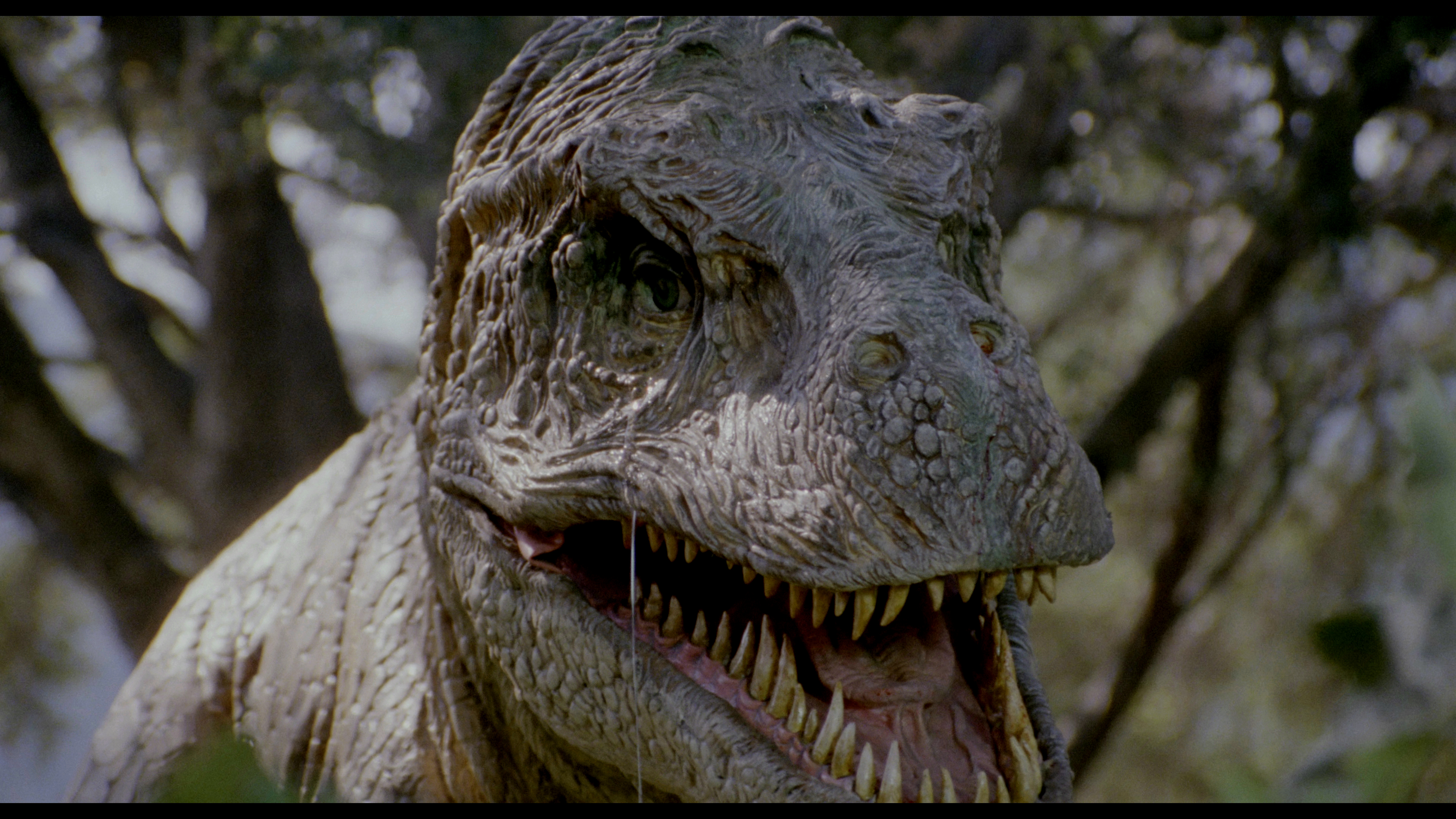 Tammy And The T Rex Blu Ray Denise Richards With denise richards, theo forsett, paul walker, ellen dubin. dvdbeaver