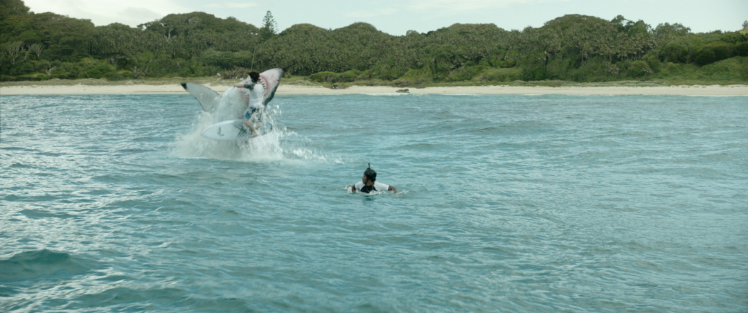 the shallows full movie free watch the shallows full movie free watch