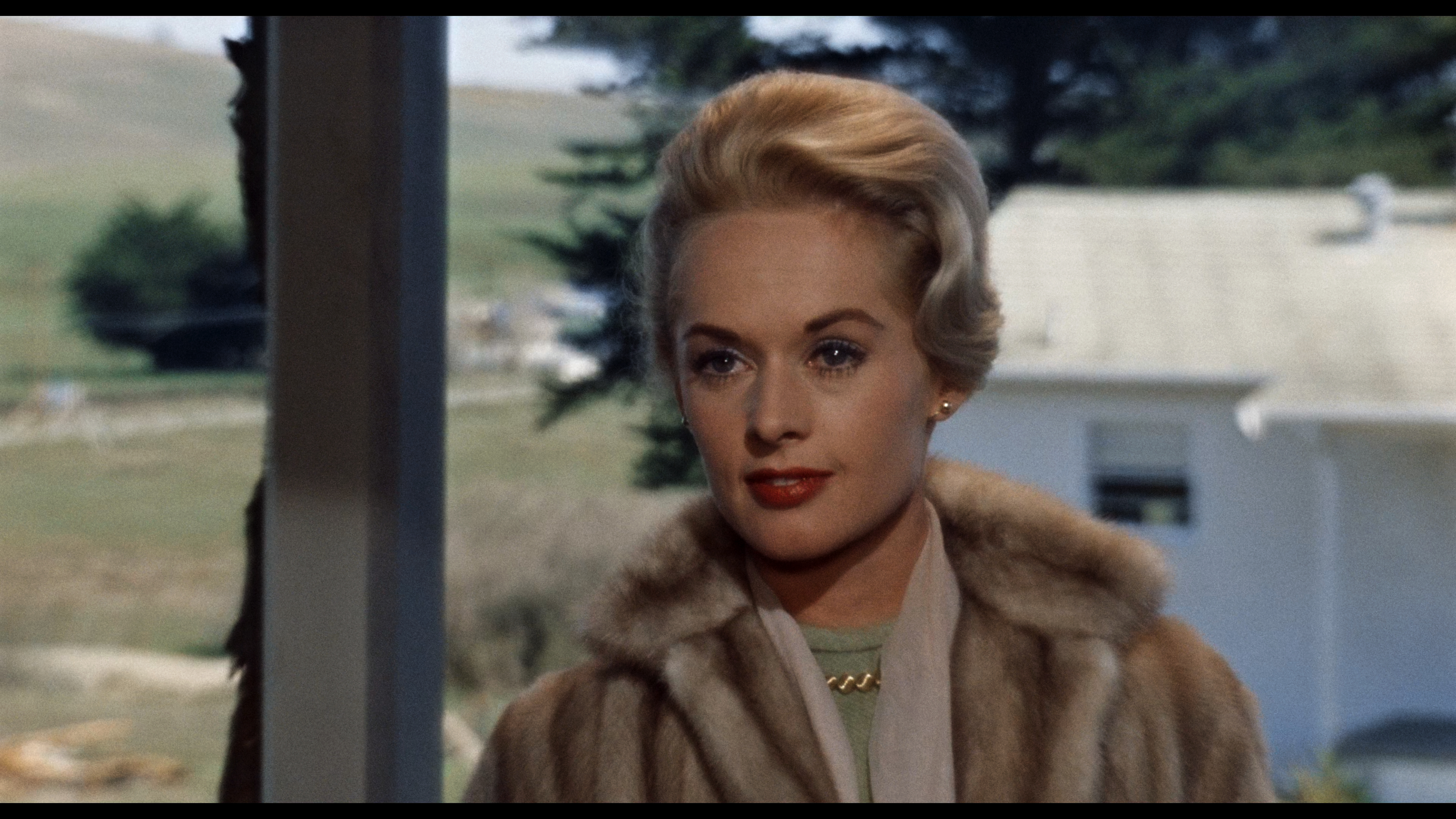 large_4K_uhd_01_the_birds_4K_UHD___blu-ray_.jpg
