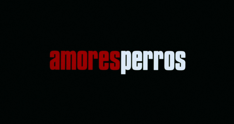 amores perros review