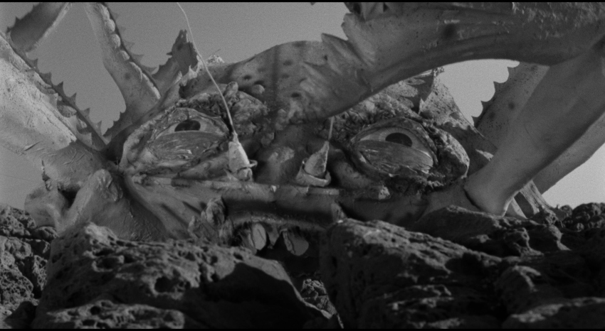 Attack Of The Crab Monsters Blu Ray Pamela Duncan