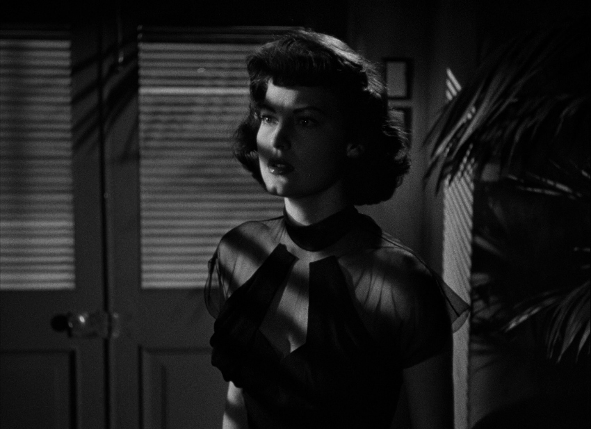Film Noir: The Dark Side of Cinema IX [Lady on a Train / Tangier