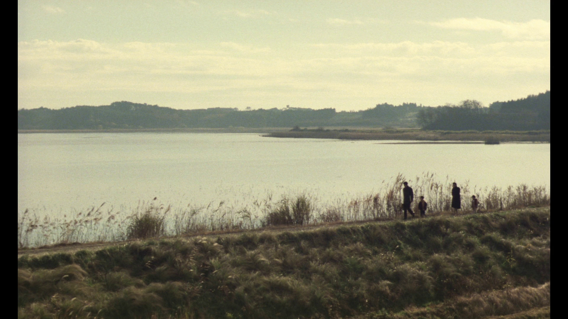 The Sting of Death Bluray Keiko Matsuzaka / Midori Kiuchi