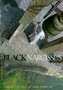 Black Narcissus DVD