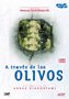 Through the Olive Trees Spanish DVD