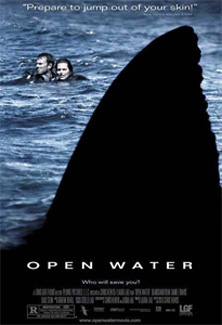 Open Water Widescreen DVD w/Chapter Insert - Blanchard Ryan - Daniel T