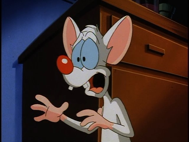 a%20pinky%20and%20the%20brain%20PINKY_AND_THE_BRAIN_D2-1%281%29.jpg