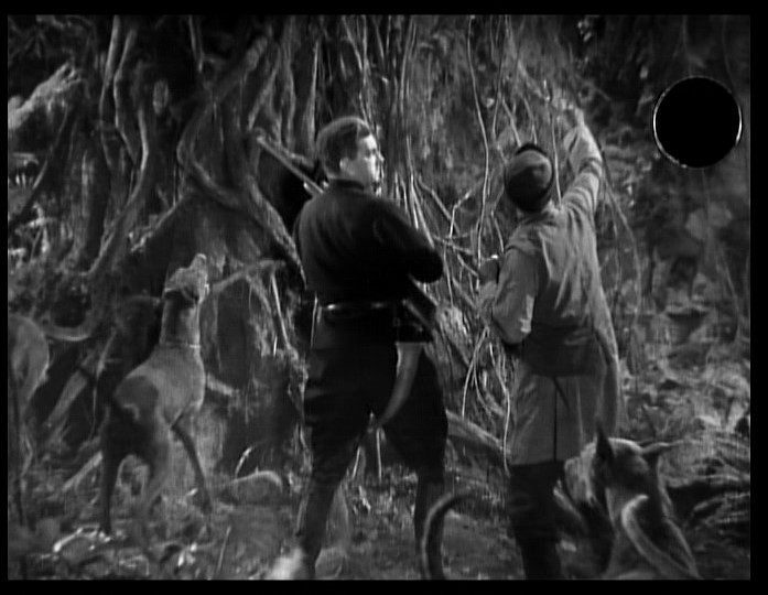 Classic Black And White classic black and white movies. Classic Black And White