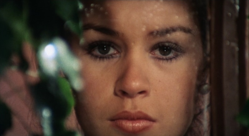 the blood spattered bride blu-ray - maribel martin