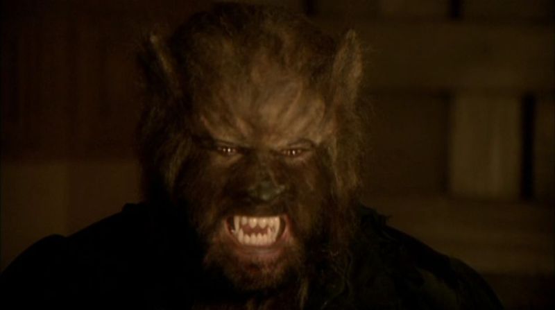 The Night of the Werewolf