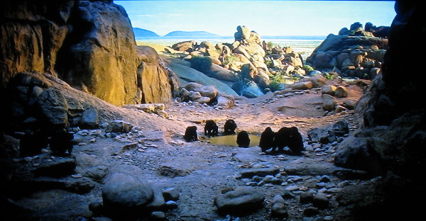 Picture courtesy: dvdbeaver.com