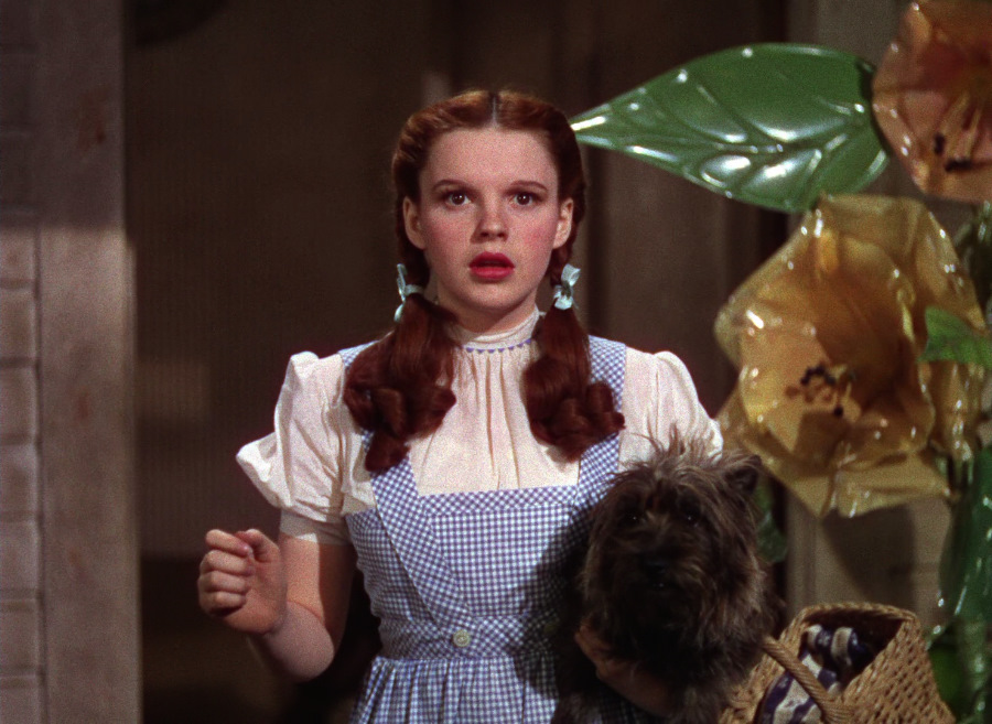 900_wizard_of_oz_blu-ray2x.jpg