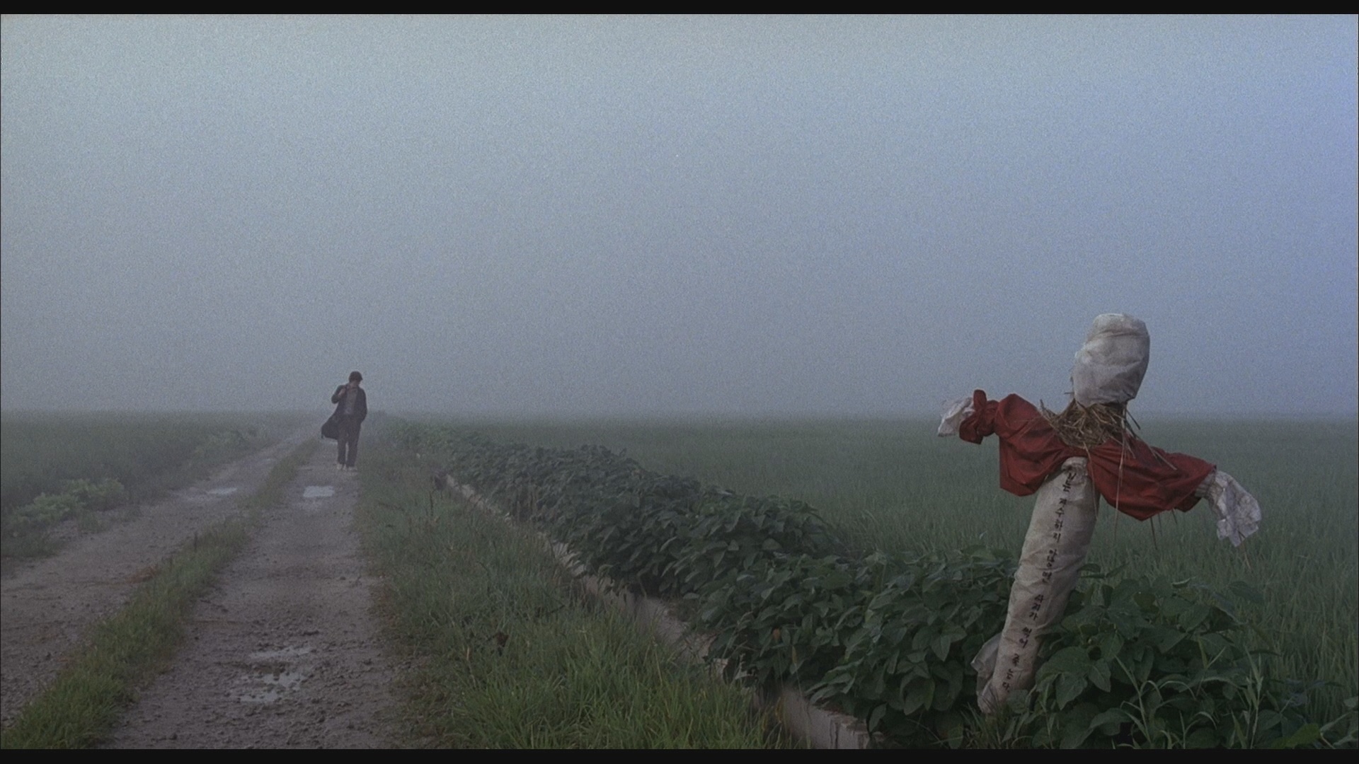 Wallpaper Memories Of Murder Blu Ray Joon Ho Bong Desktop Wallpaper Free