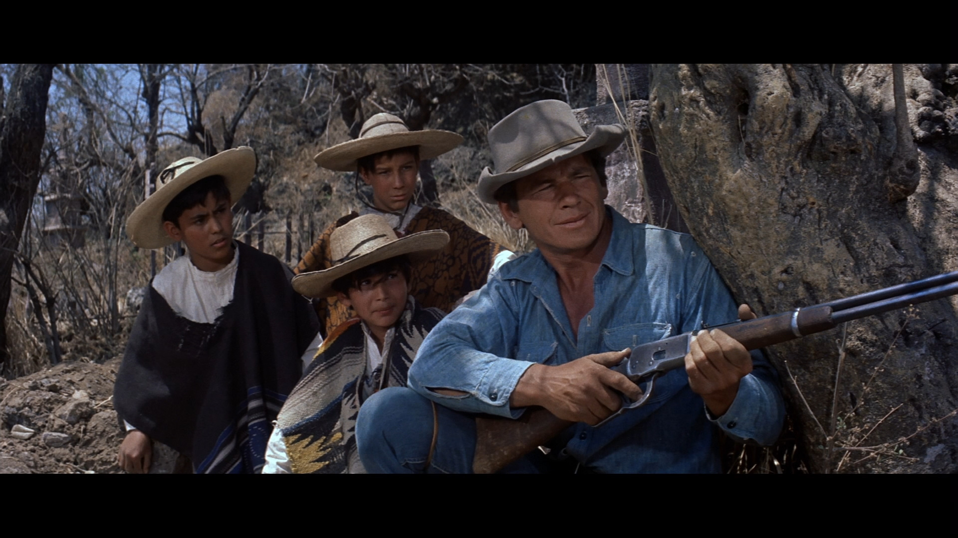 magnificent seven 1960 subtitles