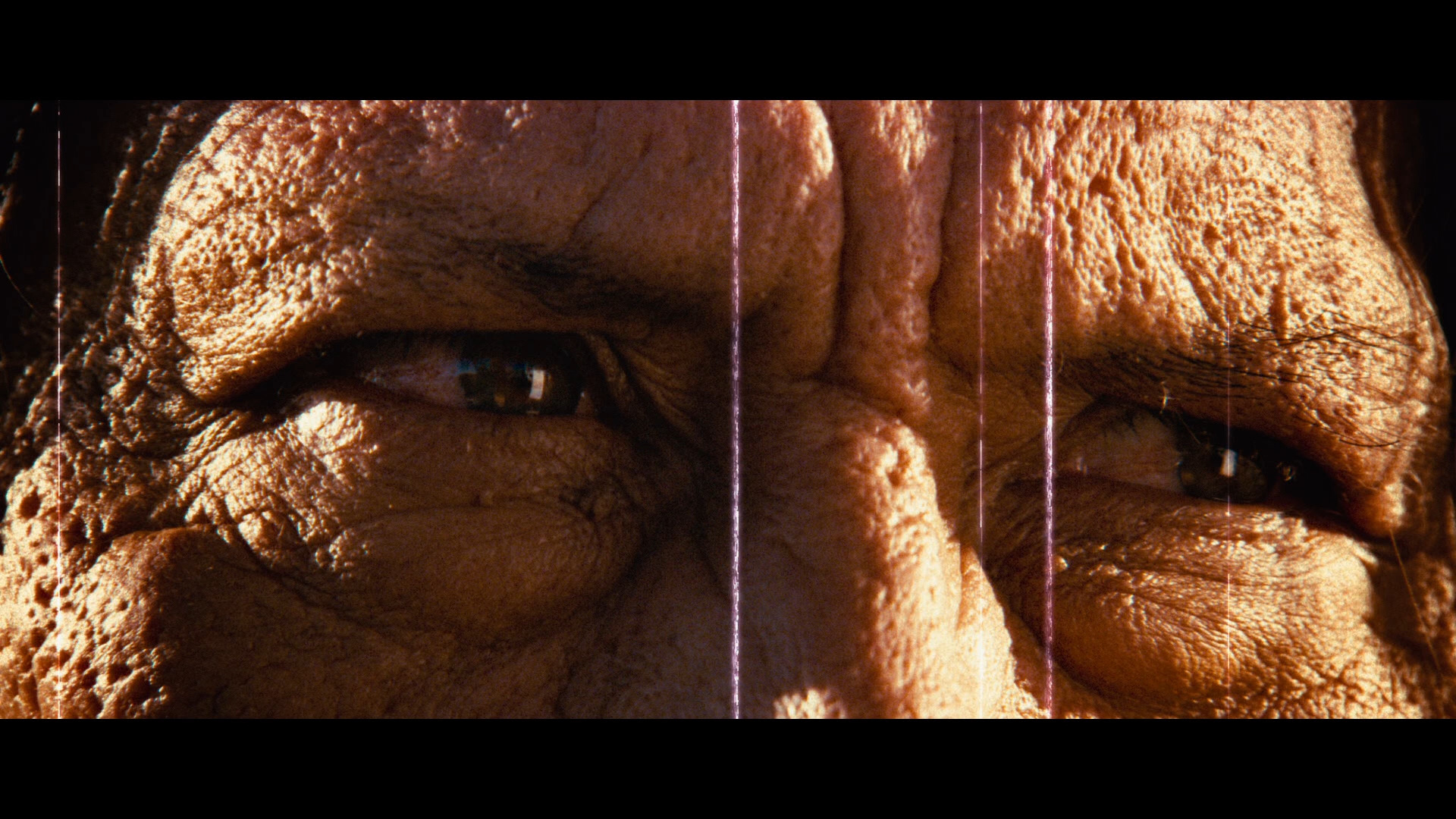 1) Genius Products (2-Disc