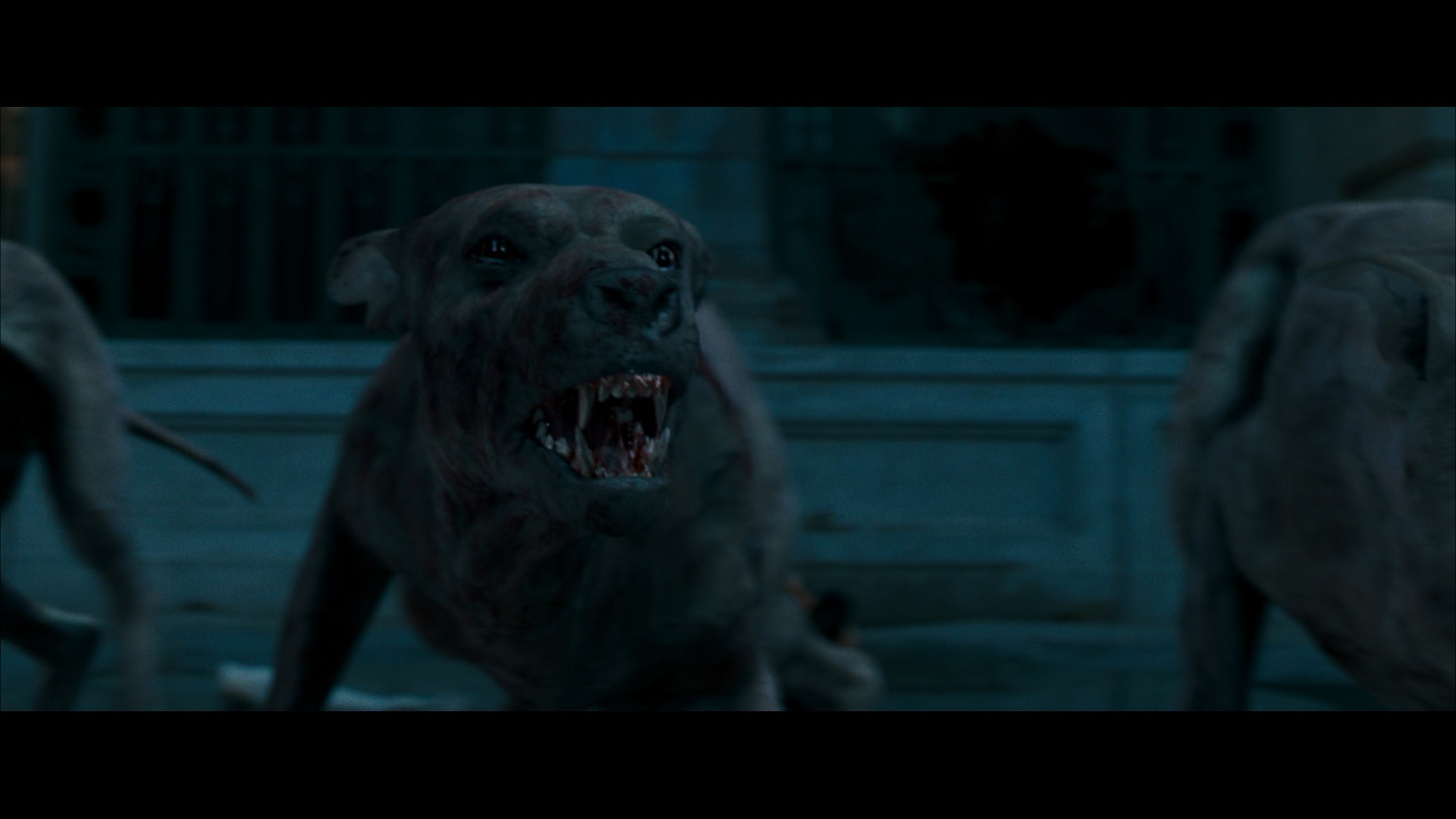 large_I_am_legend_blu-ray_5.jpg