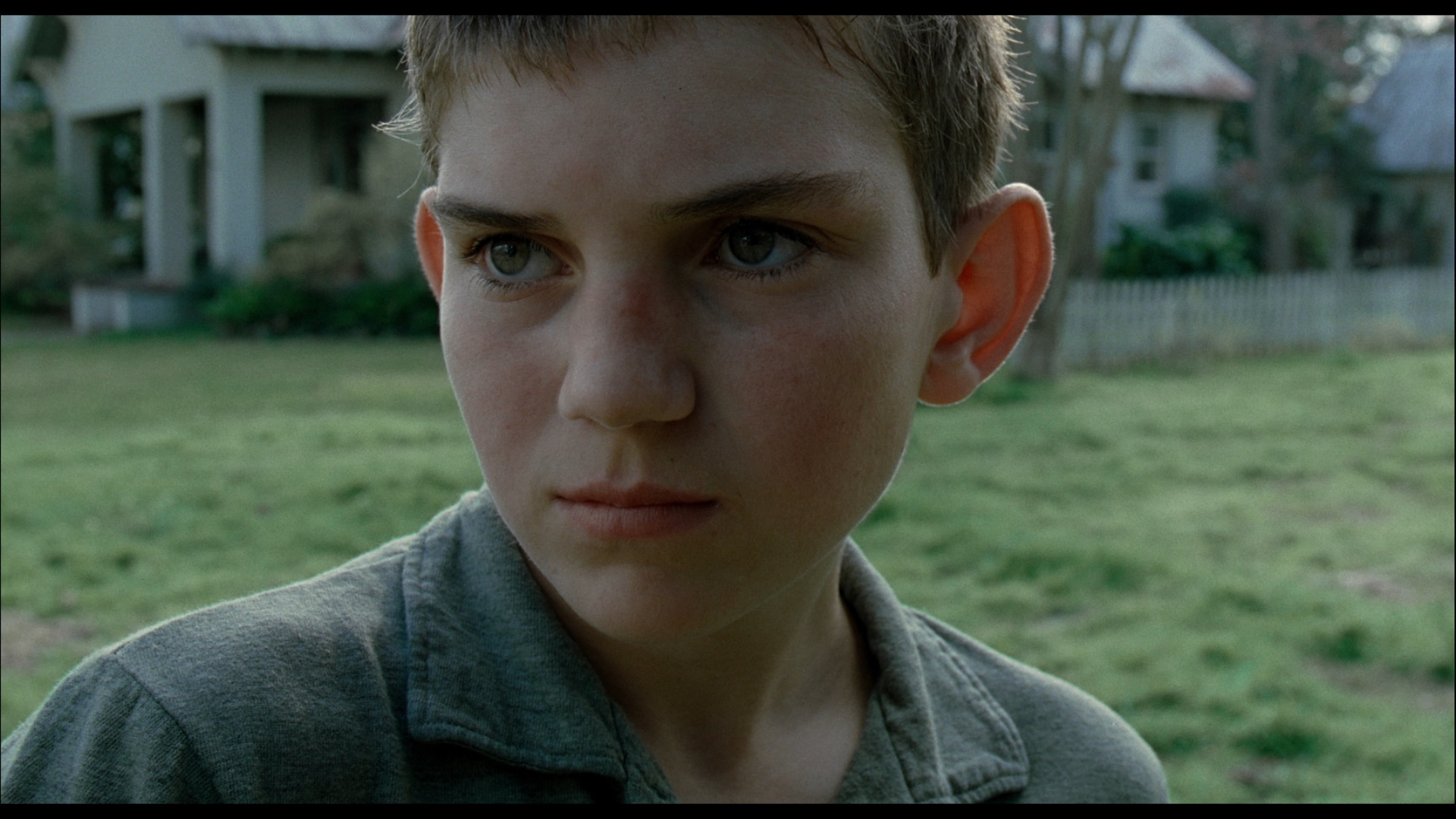 large_tree_of_life_blu-ray_11.jpg