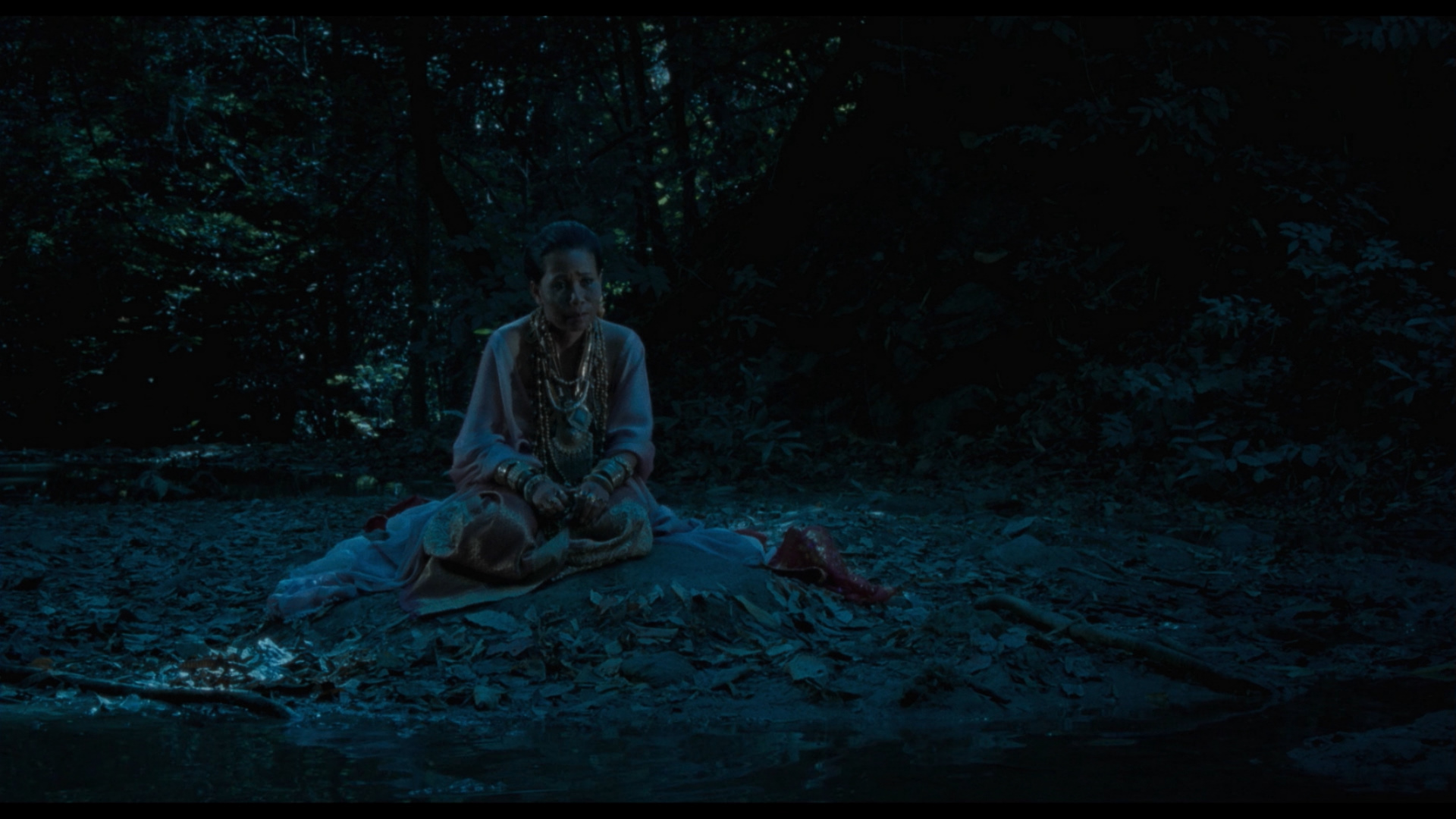 Uncle Boonmee Who Can Recall His Past Lives www.dvdbeaver.com
