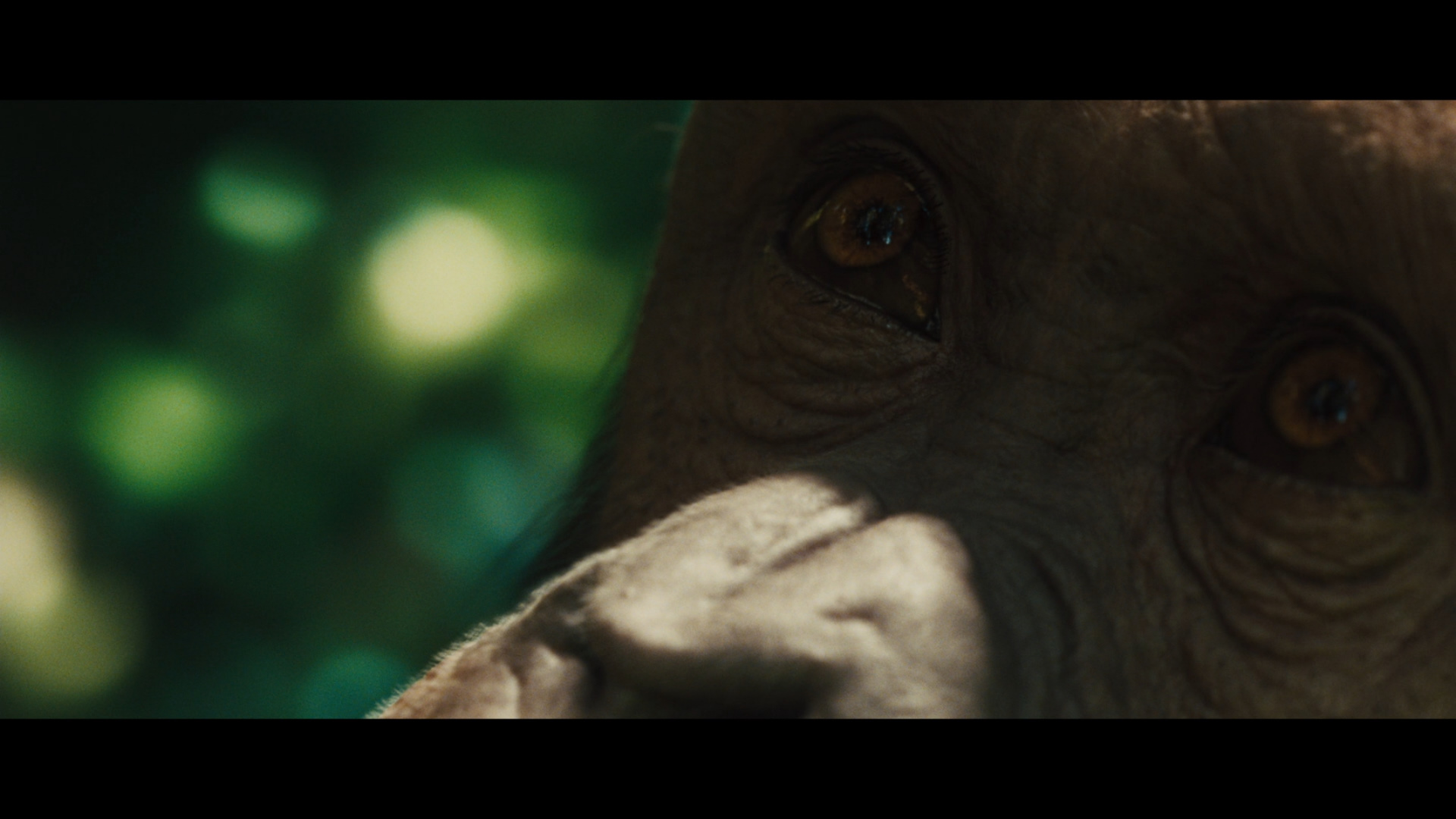 Rise Of The Planet Of The Apes 2011 BRRip 480p 300MB