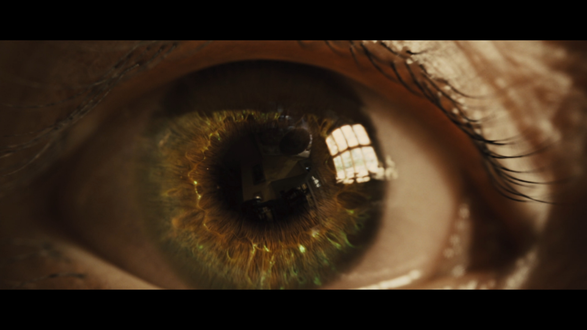Rise of the Planet of the Apes 2011 480p 720p BluRay