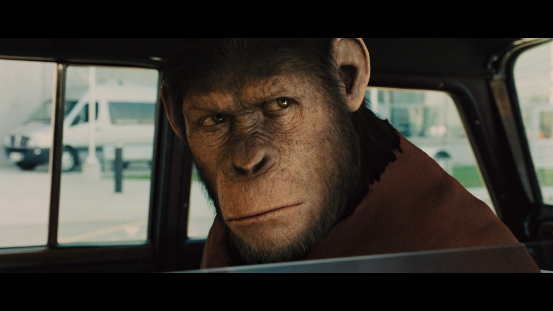 large_rise_of_the_planet_of_the_apes_blu-ray_9.jpg