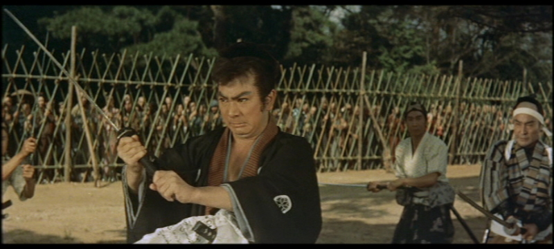 Samurai Vendetta - Raizo Ichikawa and Shintaro Katsu
