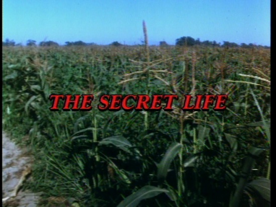 the_secret_life_jeffrey_dahmer