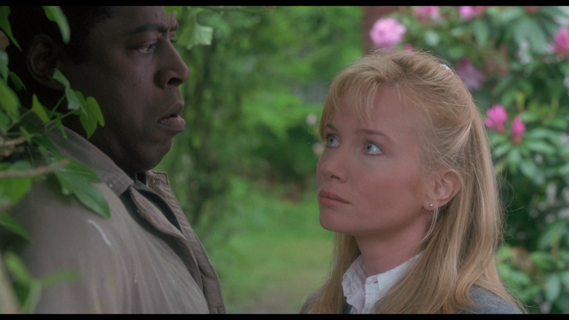 The Hand That Rocks the Cradle Bluray Rebecca De Mornay