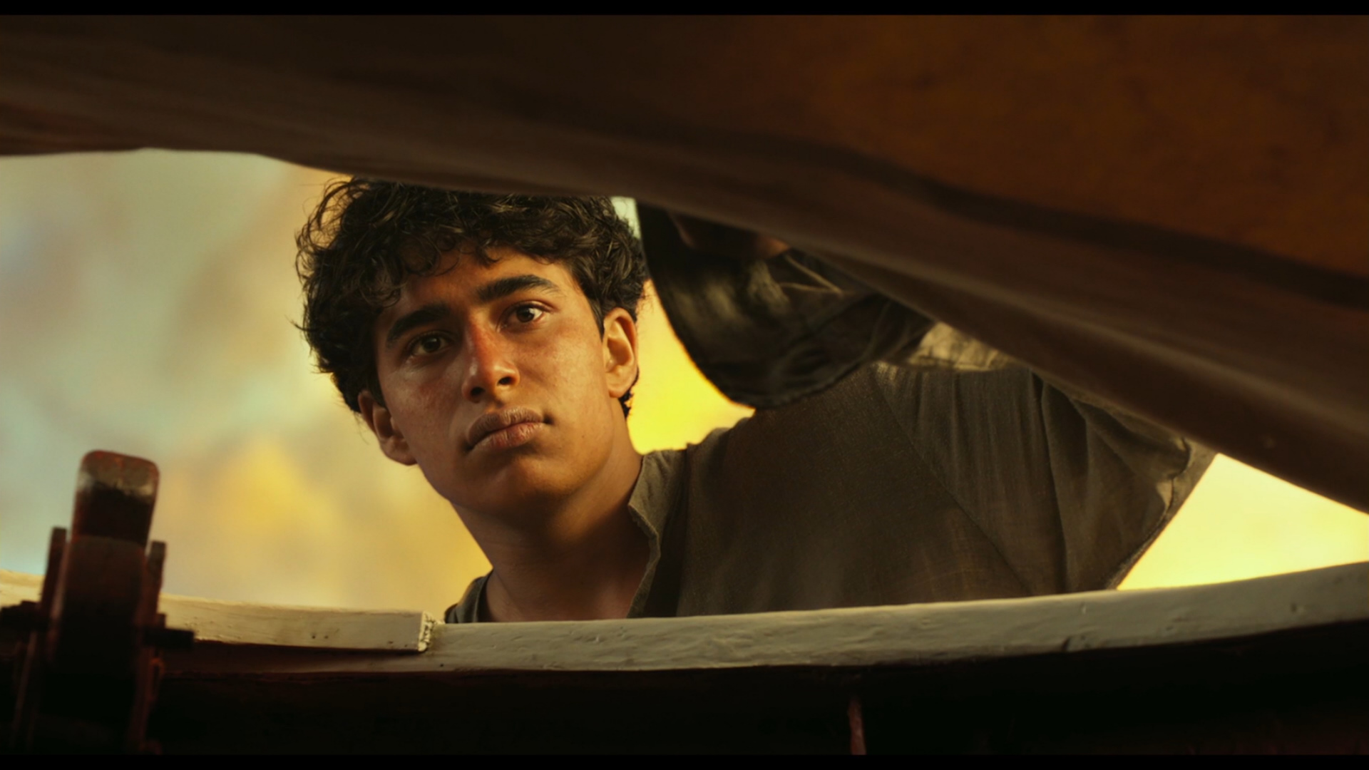 Life Of Pi 1080p Latino Mega