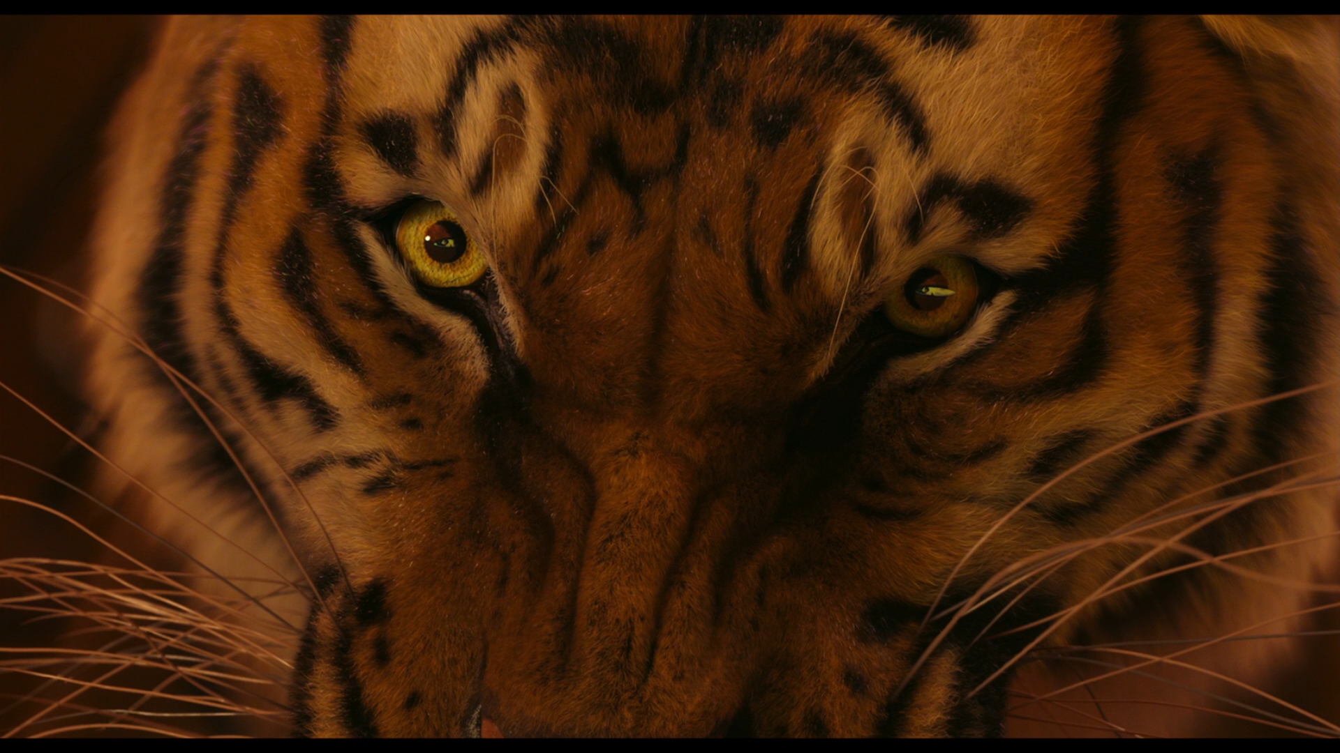 life of pi blu ray suraj sharma