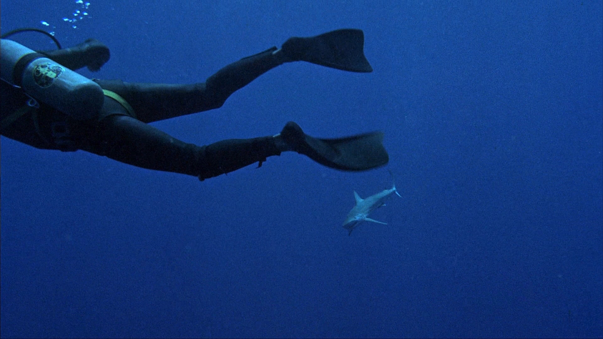 Shark Blu-ray - Burt Reynolds