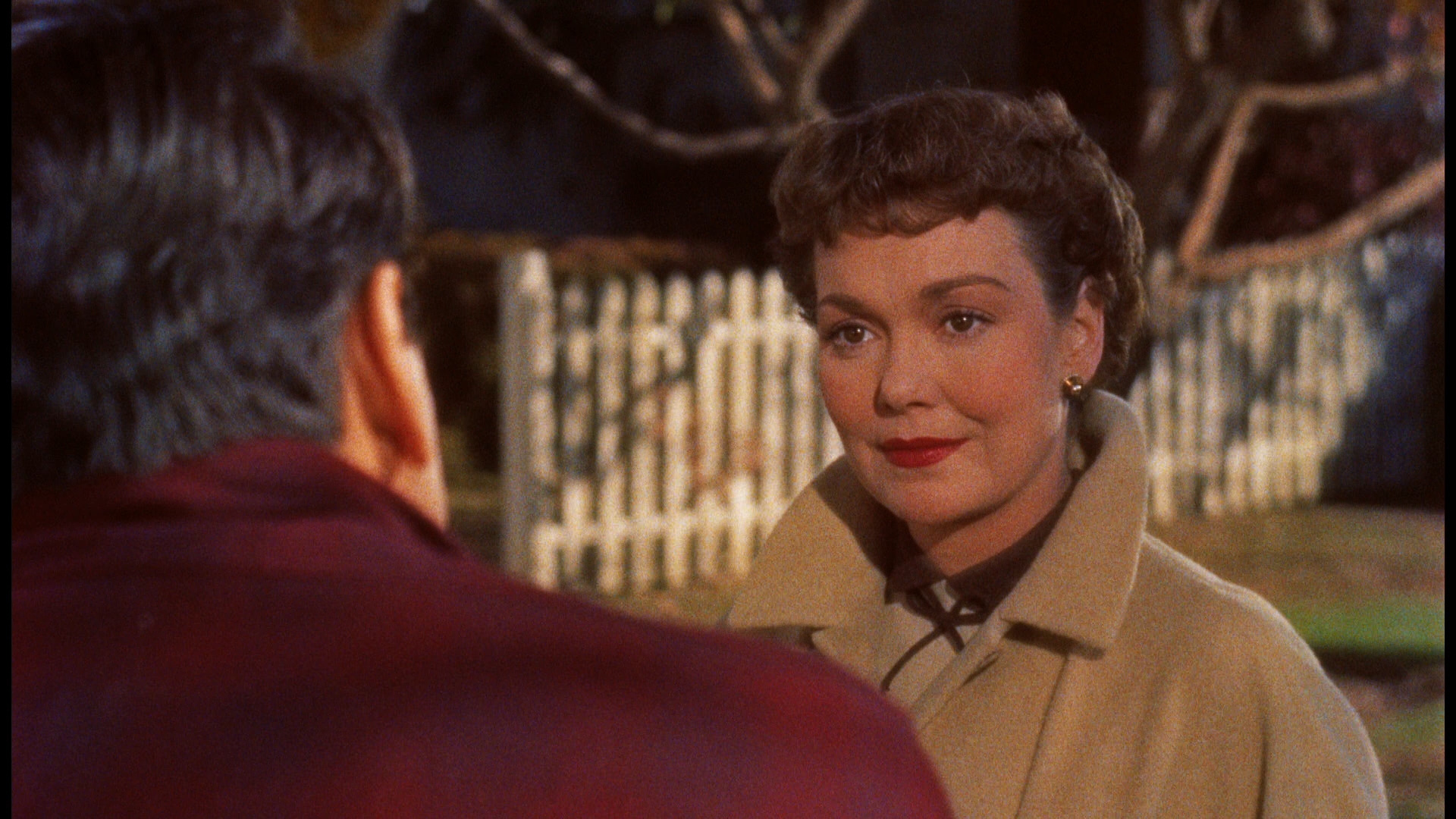 All That Heaven Allows Blu-ray - Rock Hudson - All That Heaven Allows Full Movie Online Free
