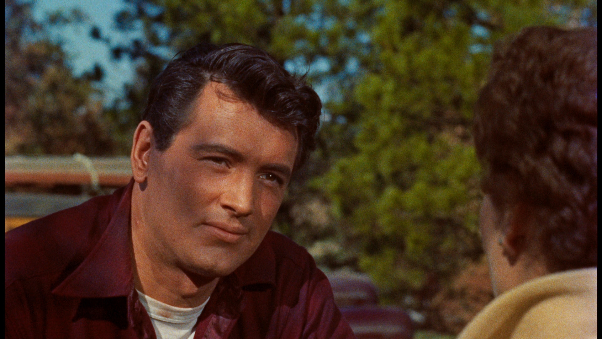 All That Heaven Allows Bluray Rock Hudson