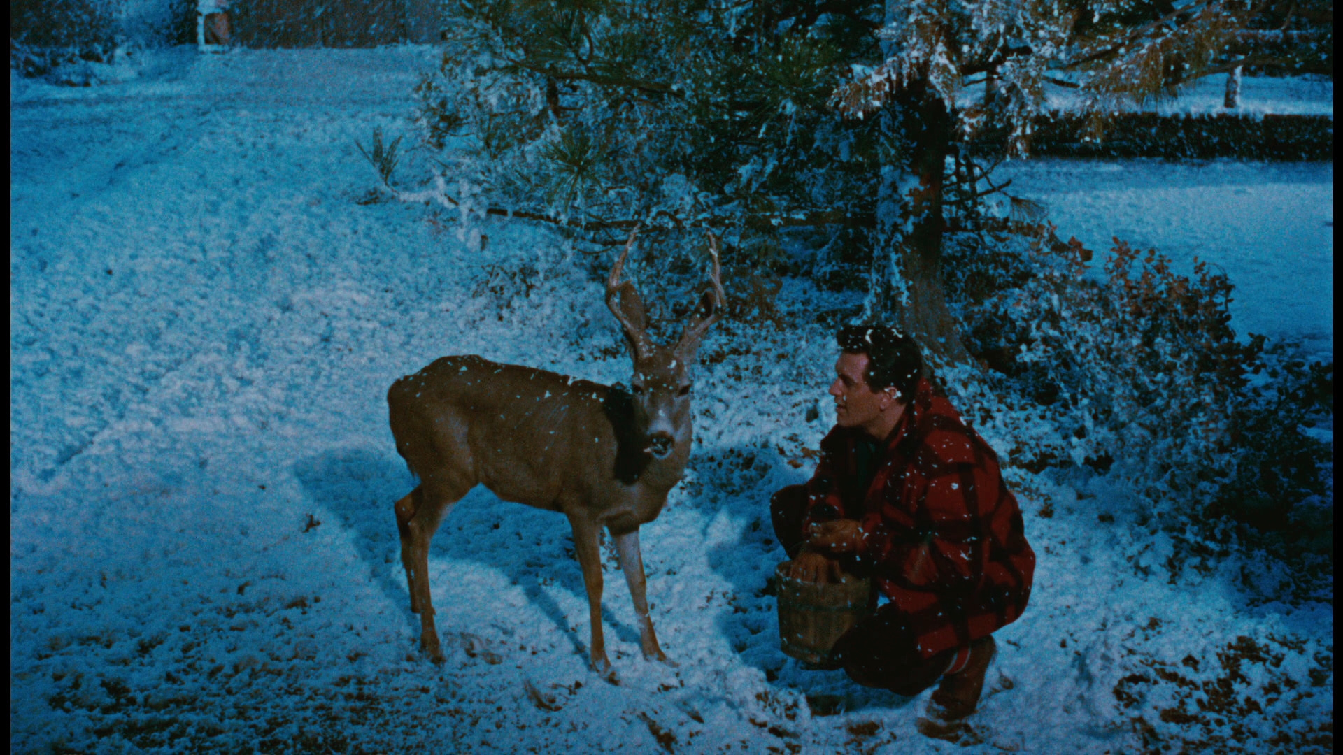 All That Heaven Allows Blu ray Rock Hudson