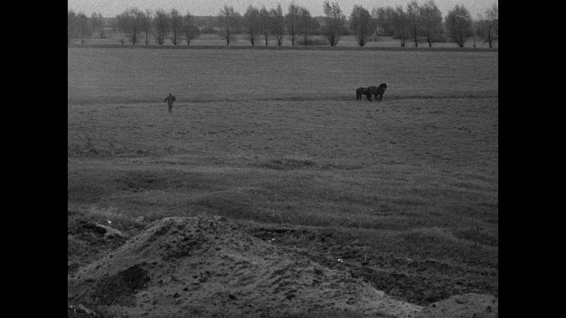 Man of Marble Bluray Jerzy Radziwilowicz