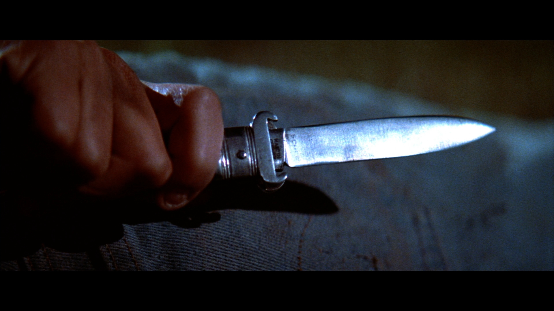 The Outsiders Bluray C. Thomas Howell