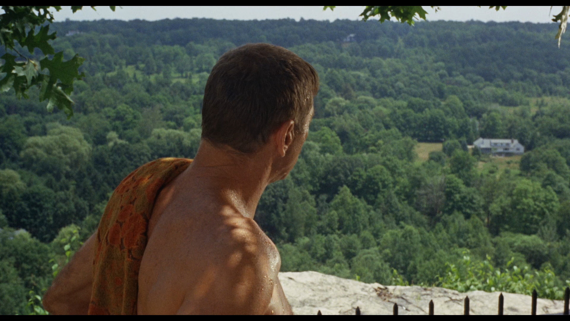 The Swimmer Blu-ray - Burt Lancaster