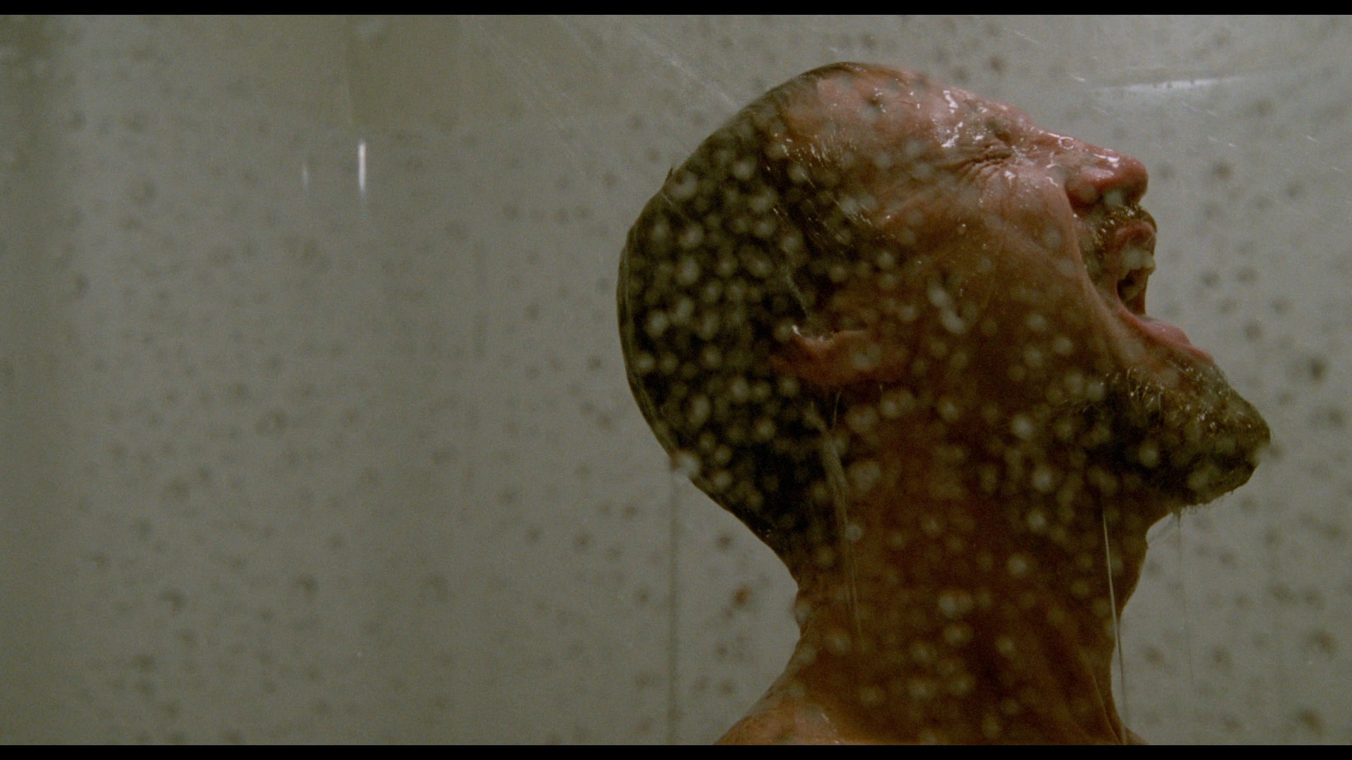 All That Jazz Bluray Roy Scheider