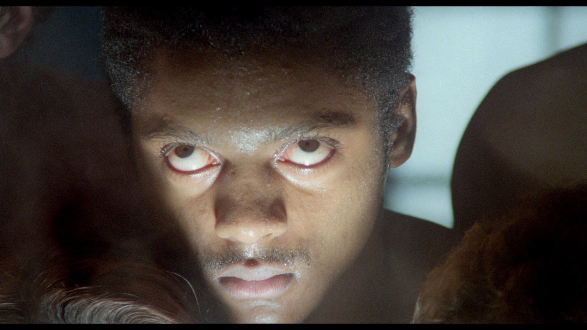 All That Jazz Bluray Roy Scheider