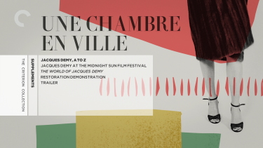 Une Chambre En Ville Blu Ray Dominique Sanda