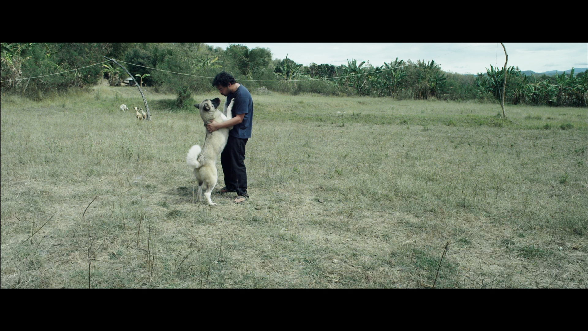 Norte, The End of History Bluray Sid Lucero