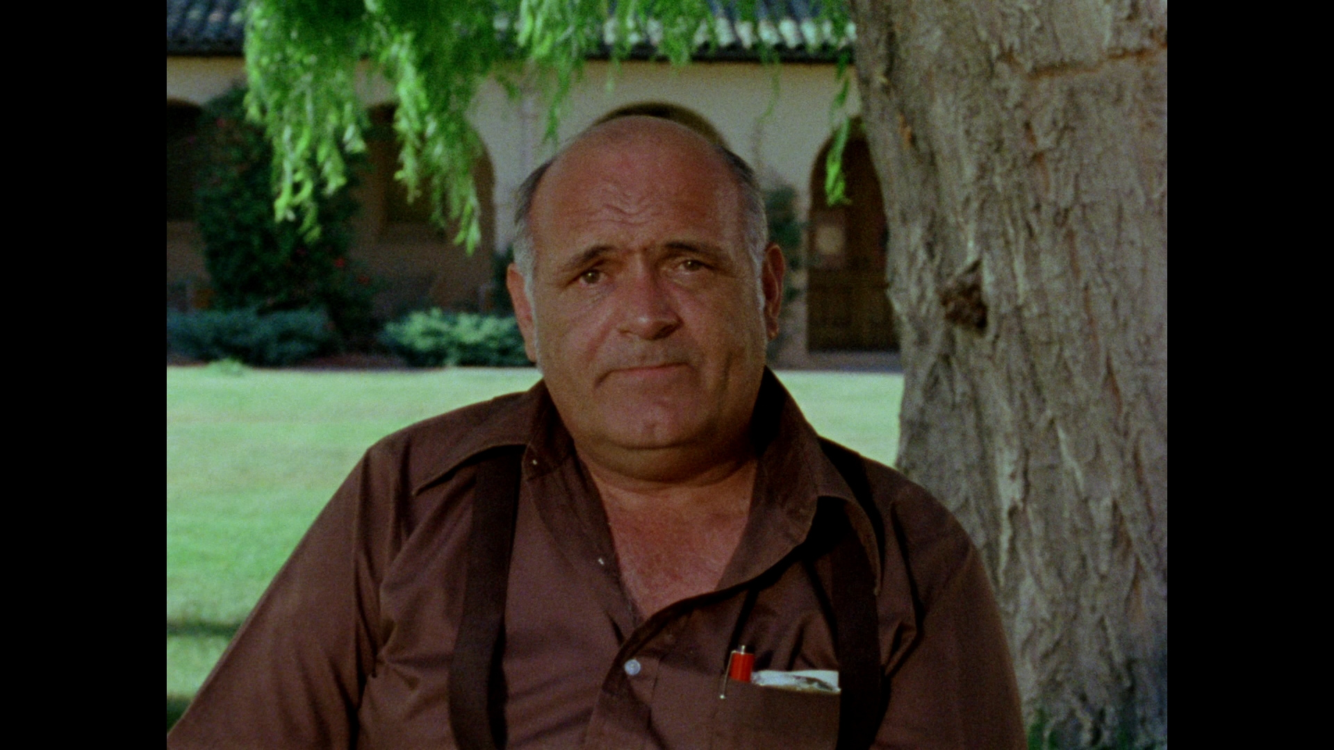 Gates of Heaven Bluray Errol Morris