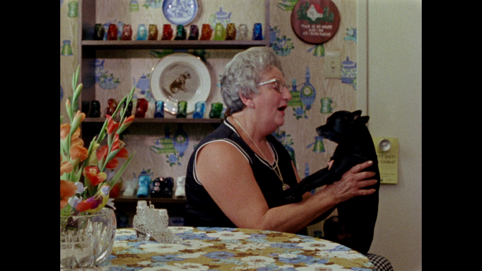 Gates of Heaven Bluray Errol Morris