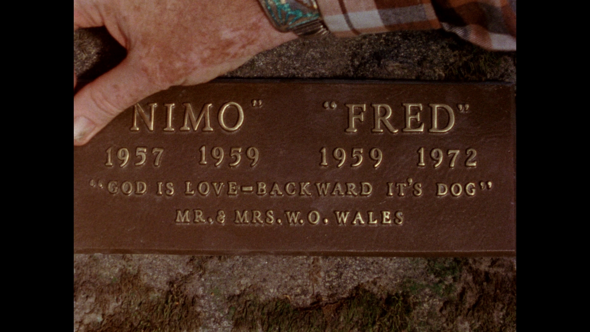 Gates of Heaven Bluray Errol Morris