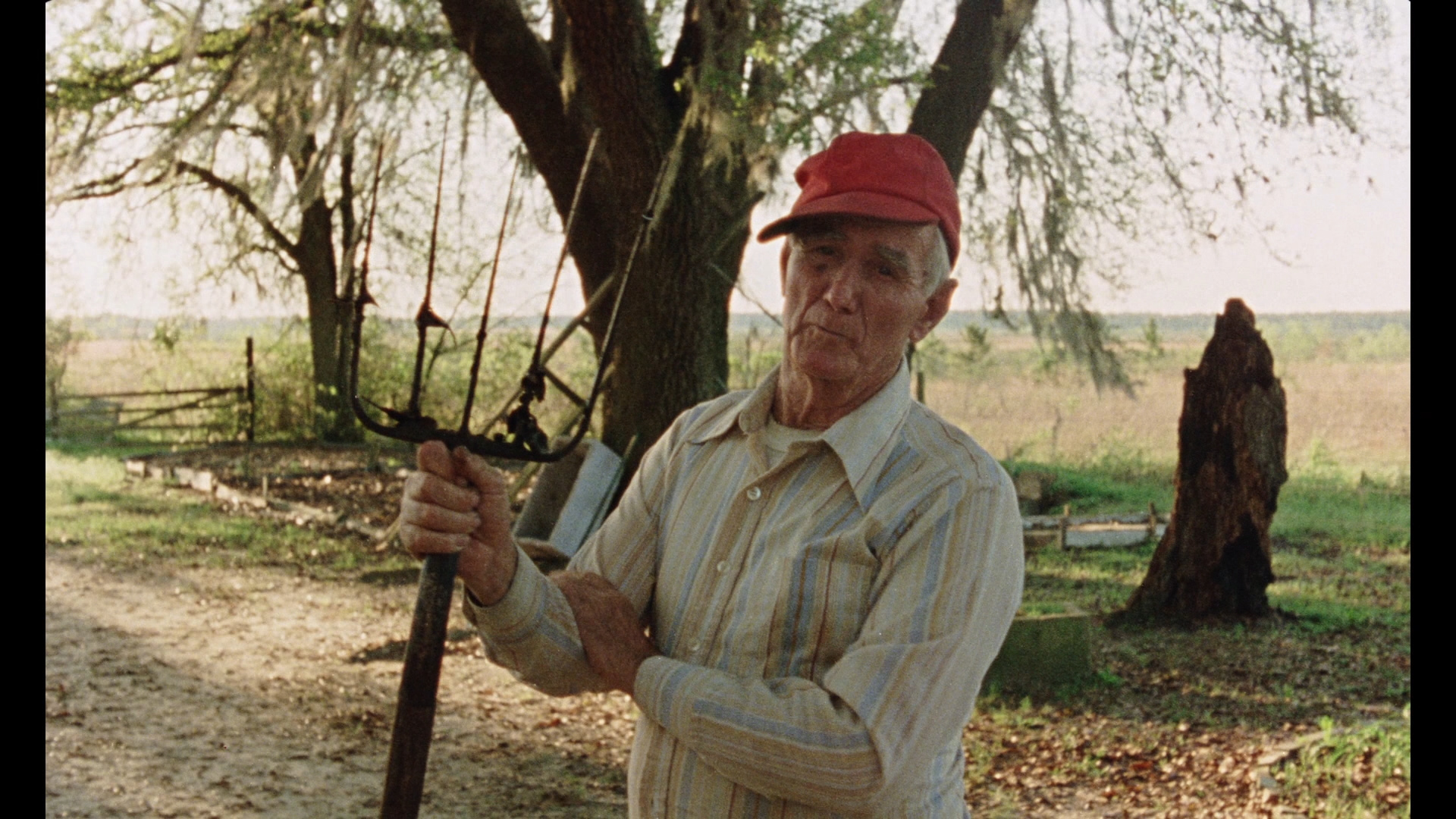 Gates of Heaven Bluray Errol Morris