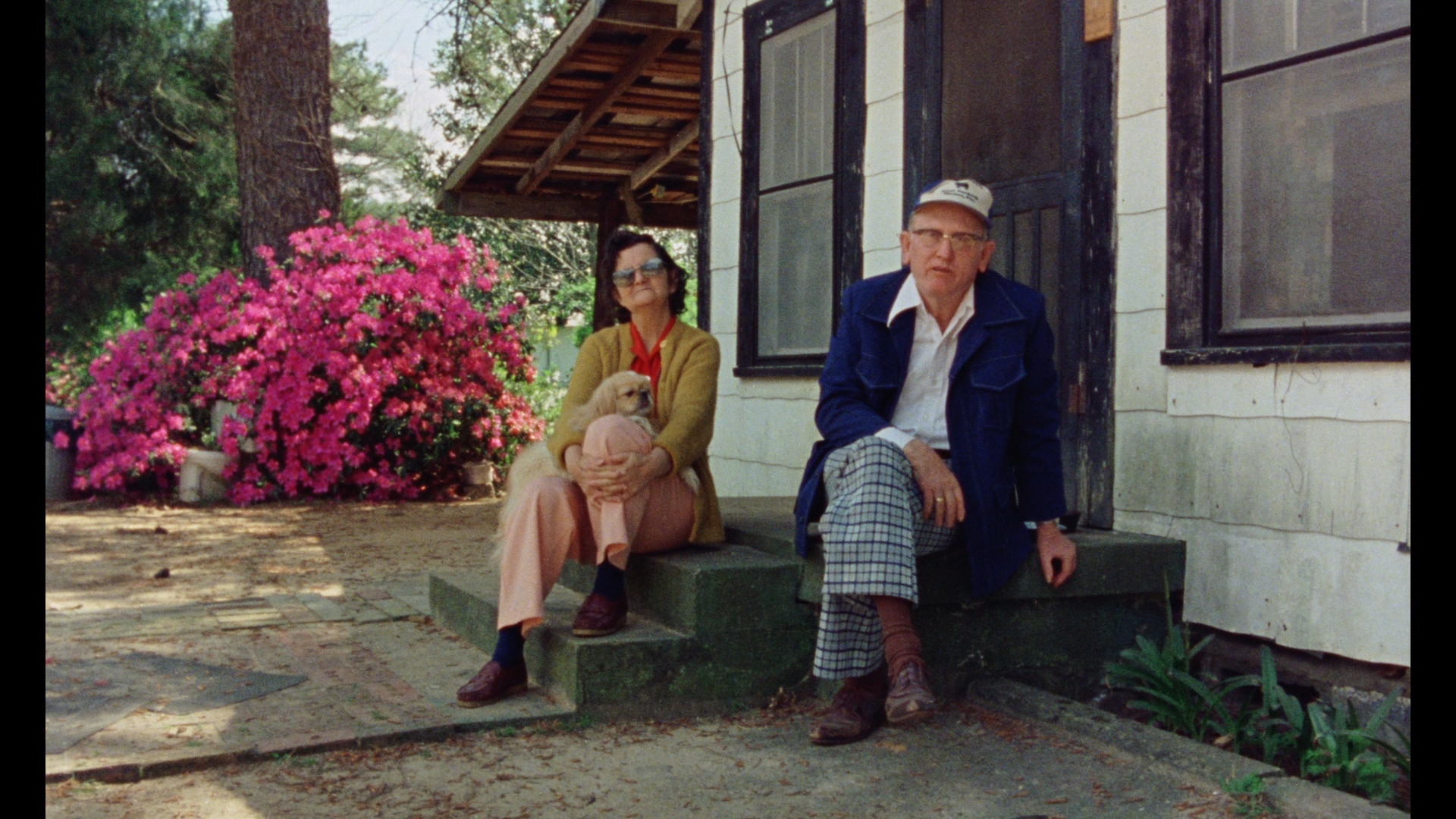 Gates of Heaven Bluray Errol Morris